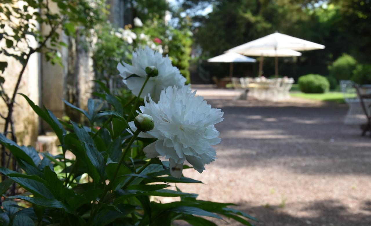 Cote Park Panzió Givry  Kültér fotó